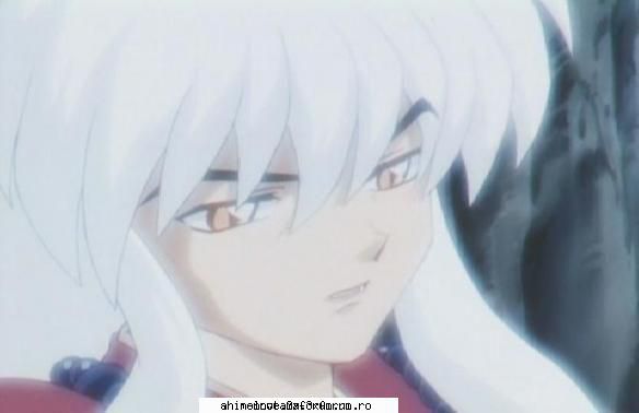 inuyasha - Ran-nechan - ღInuyashaღ