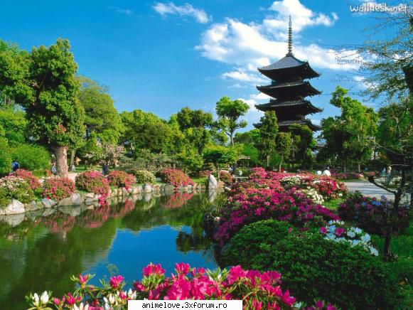 poze Japonia - sakura chan - ♥Japonia